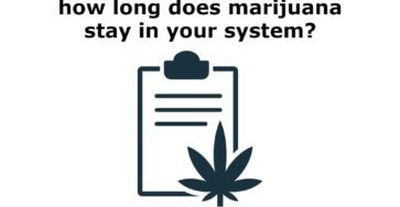 How long does marijuana stay in your body