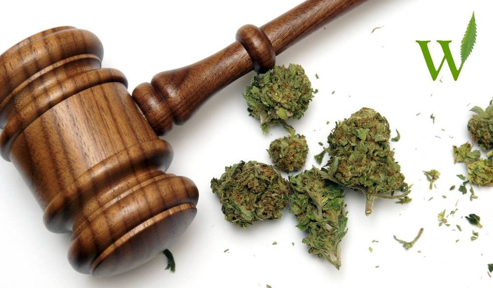 Is Marijuana Legal In Pennsylvania? Pennsylvania Marijuana Laws