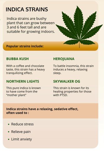 Image showing effects, types, and properties of an Indica Strain