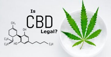 Is CBD legal in the US