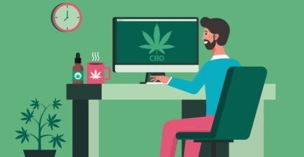 A guy in chair searching for the top cbd companies online