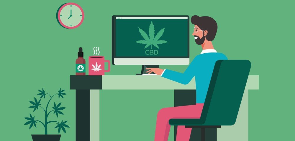 A guy in chair searching for the top cbd companies online