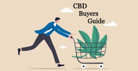 CBD Buyers Guide: How to Select the Right CBD Product