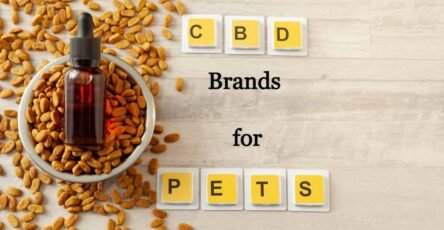 CBD Brands for Pets