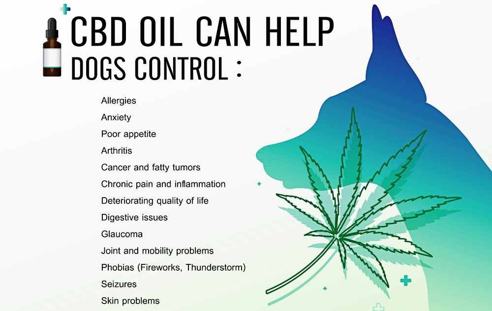 Image is describing all the benefits of CBD for dogs