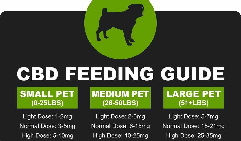 Image describing the appropriate CBD Dosage Guide for Pets
