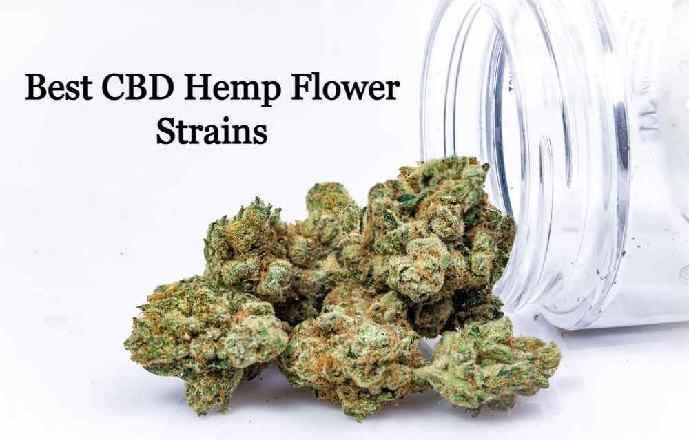Best CBD Hemp Flower Strains