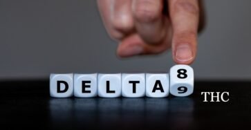 delta 8 vs Delta 9 Image