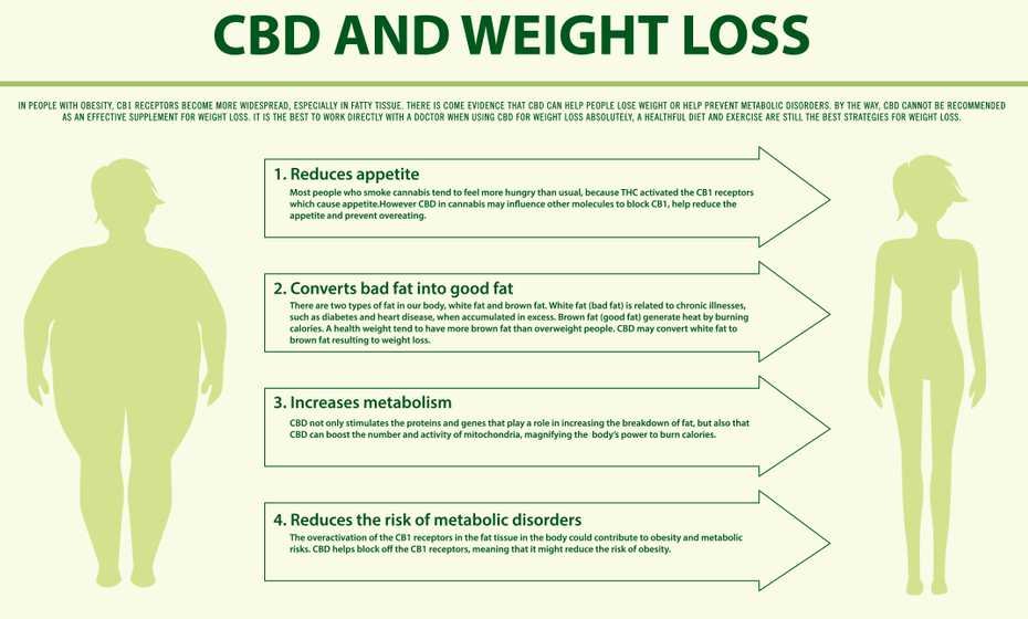 CBD's effects on weight