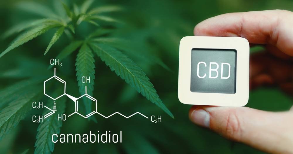 Effects of CBD on Appetite and Weight