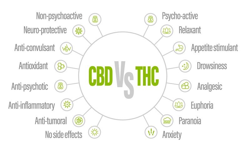 Image shows all the difference between CBD and THC