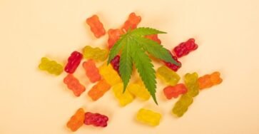 Can You Eat CBD Gummies Every Day image