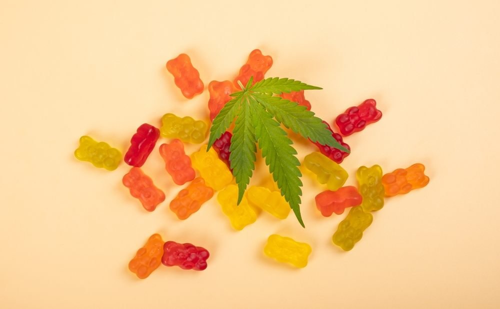 Can You Eat CBD Gummies Every Day image