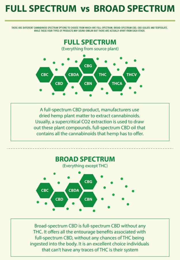 Broad spectrum CBD vs Full spectrum CBD infographics