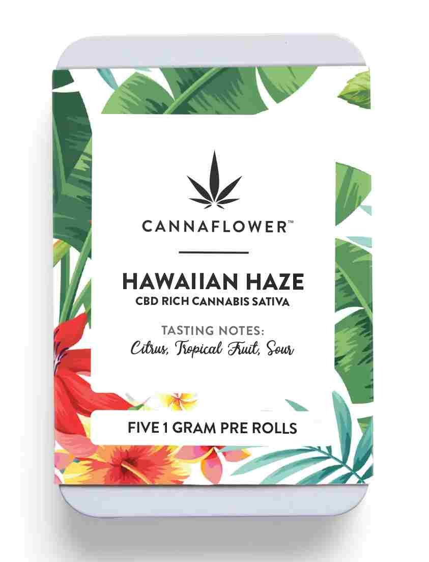 Best CBD PreRolls of 2024 Our Top 4 Picks Weedime