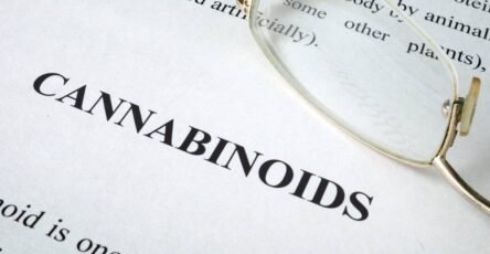Cannabinoids image