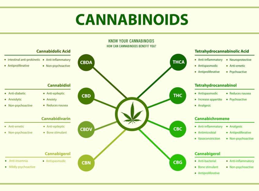 Cannabinoids types and benefits image