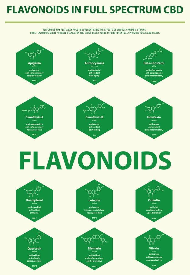 Types of flavonoids in full spectrum CBD image