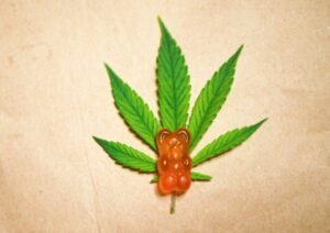 CBD Oil Vs. CBD Gummies: Which is Better?