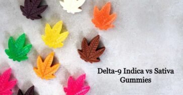 Delta-9 Indica vs. Sativa Gummies