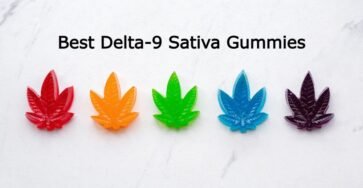 Best Delta 9 Sativa Gummies Image