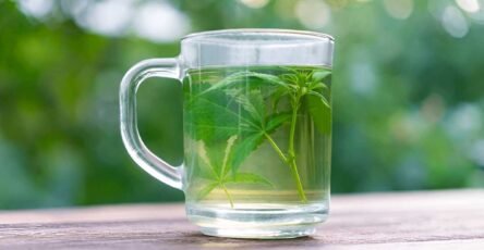 Image of a Delta-9 drink in a glass jar
