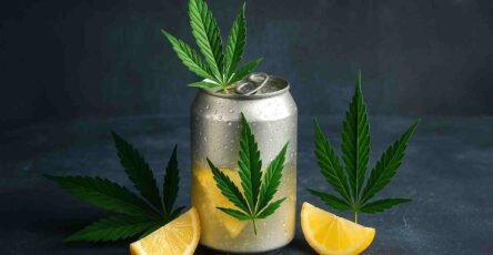 Sugar Free Delta-9 Drink image