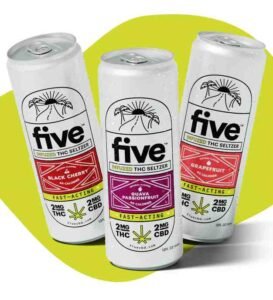 Five Infused THC Seltzer image
