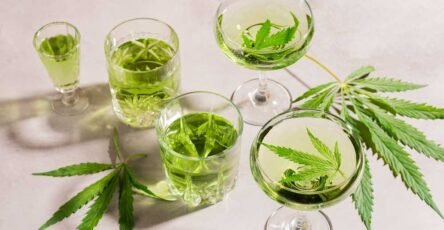 Types of Delta-9 Drinks